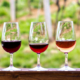 Choosing the Right Wine for Your Summer Meals